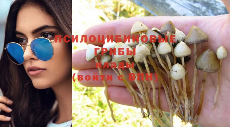 Псилоцибиновые грибы MAGIC MUSHROOMS  Гатчина 