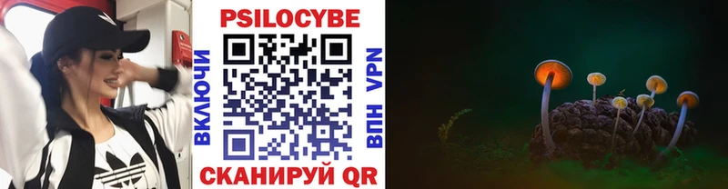 купить закладку omg tor Псилоцибиновые грибы мухоморы Гатчина
