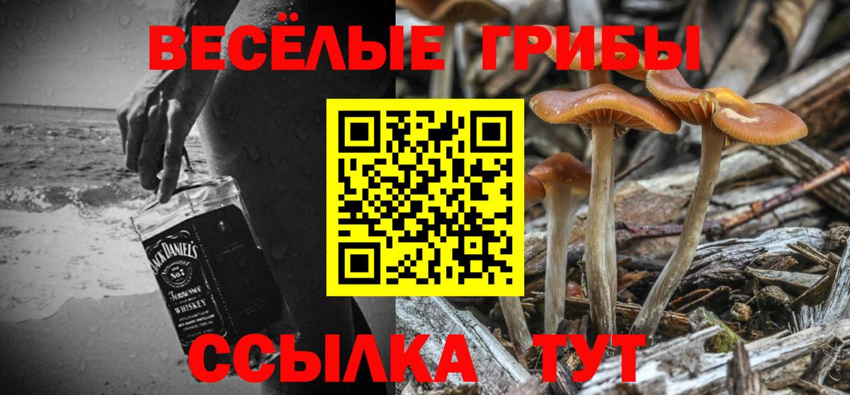Псилоцибиновые грибы прущие грибы Гатчина