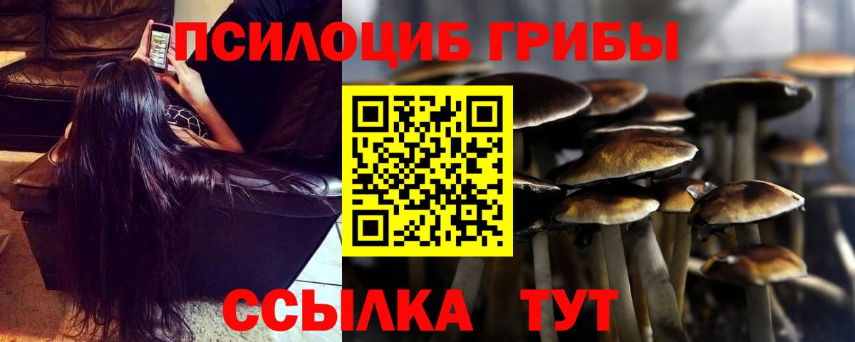 сколько стоит  Псилоцибиновые грибы Psilocybe  Вход с VPN  Гатчина 